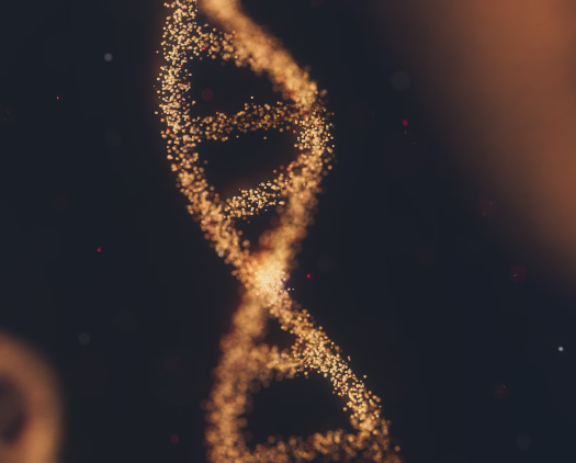 글루타치온 효능 : DNA