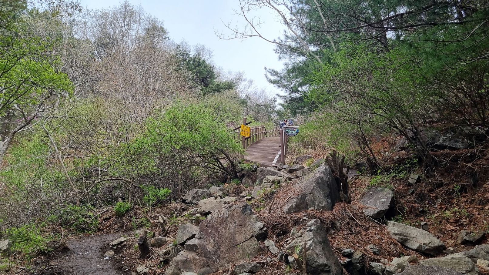 무학산 등산15