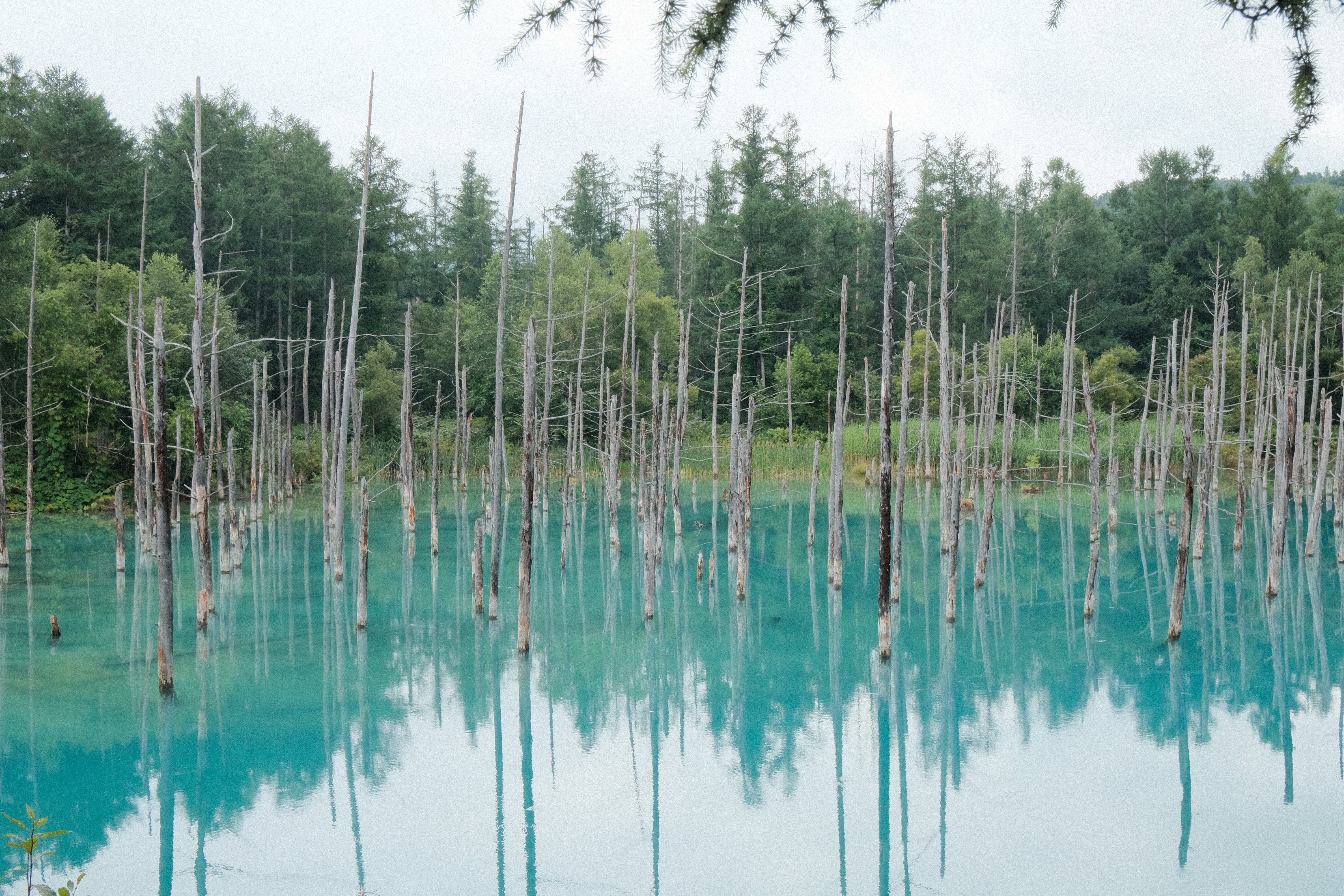 bluelake2