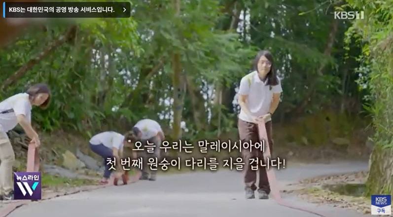 말라야 반도에 건설될 원숭이 다리