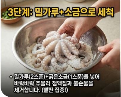 쭈꾸미 손질법