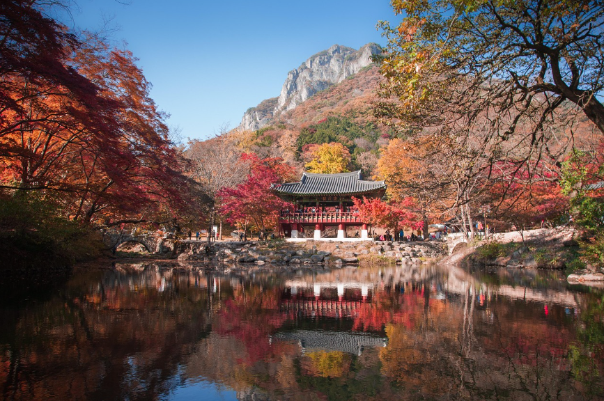 장성 백양사 여행 관련 사진