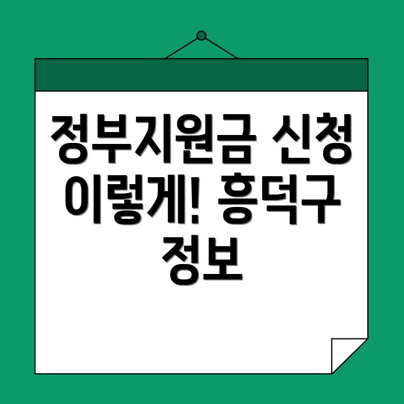 정부지원금