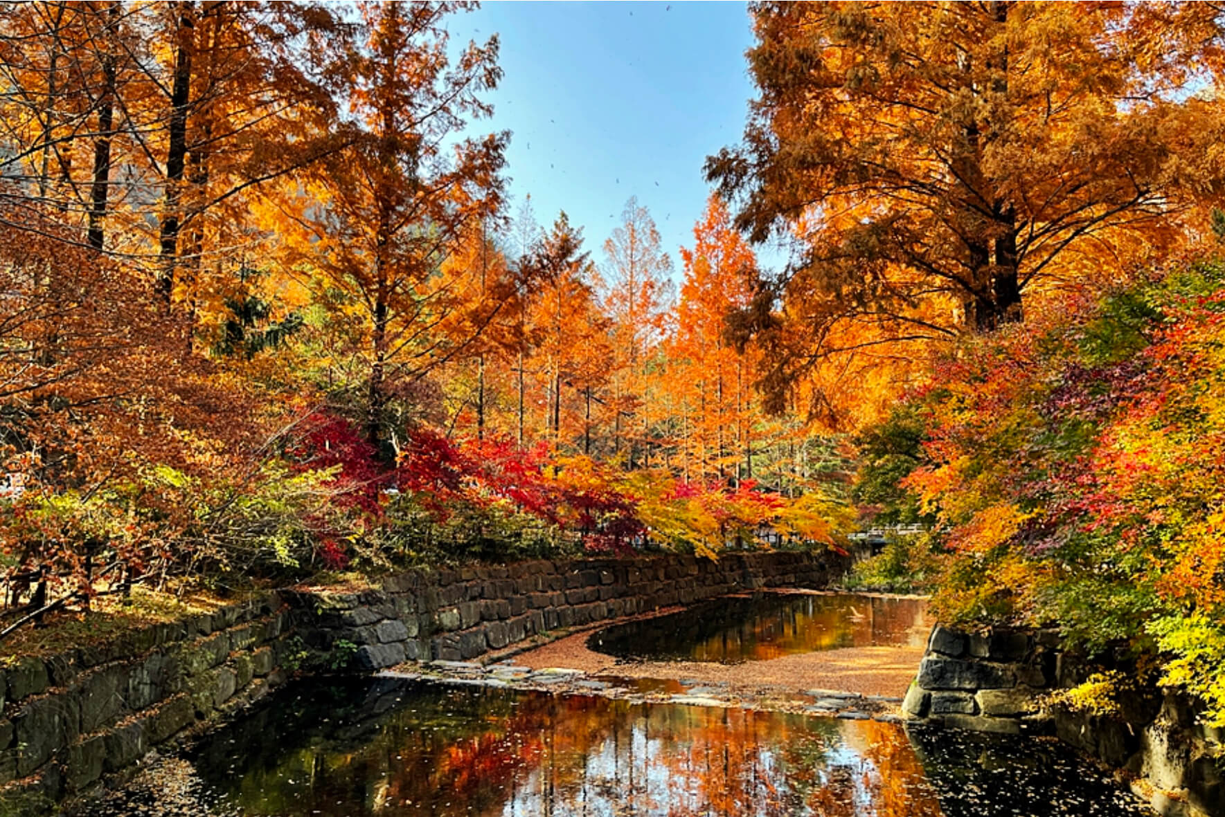 대전 장태산 자연휴양림 1