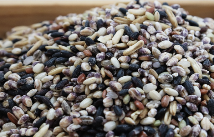 대장내시경 전 음식주의사항 7