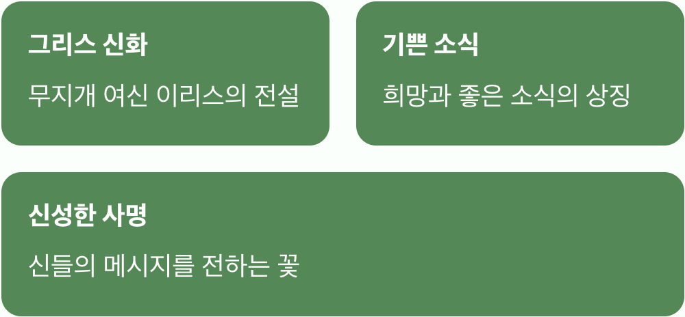 하늘과 땅을 잇는 무지개 사자