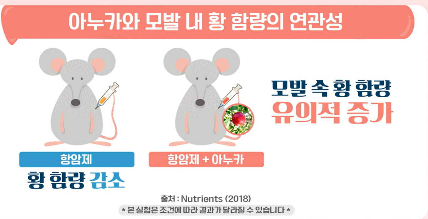 아누카사과 효능