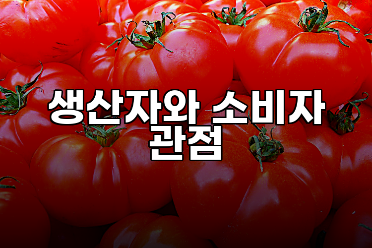 생산자와 소비자 관점