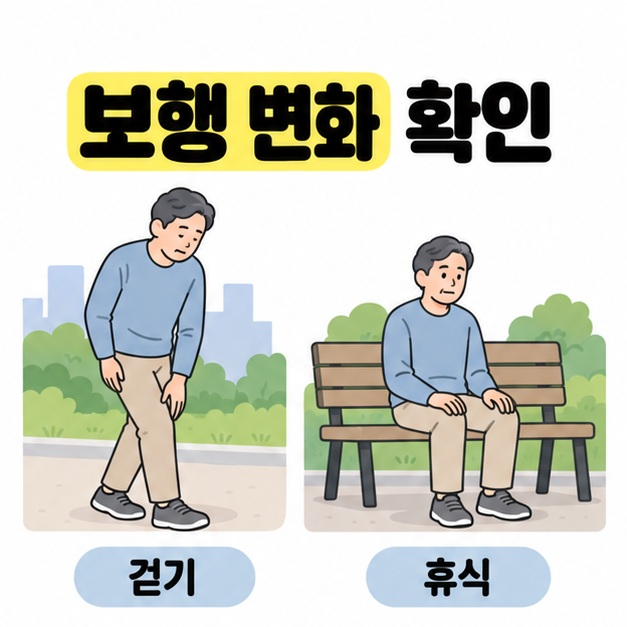 산책 중 다리 상태를 살피는 모습과 벤치에 앉아 쉬는 모습을 비교해 보행 변화를 확인하는 장면