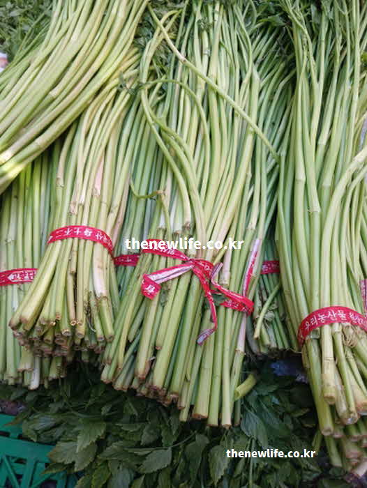 미나리 효능 부작용 신장 질환