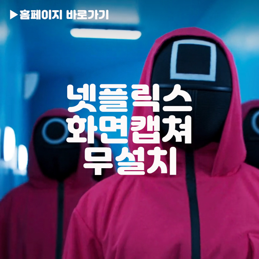 넷플릭스 캡쳐