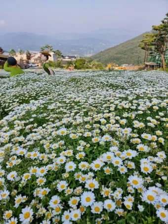5월부터 6월 여행지 추천 덥기 전에 꼭 가야 할 최고의 힐링 명소 8곳_21