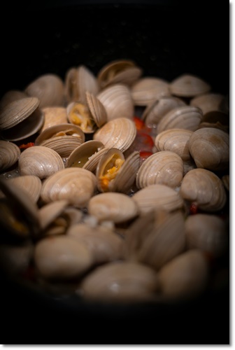 조개류 해감 빼는 법 미세플라틱 잘 제거