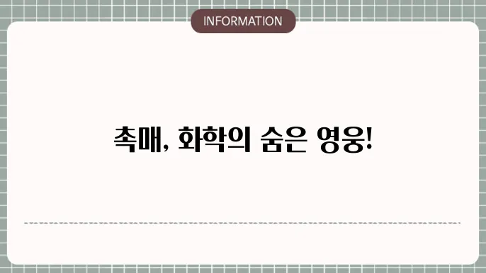 촉매 (catalyst)