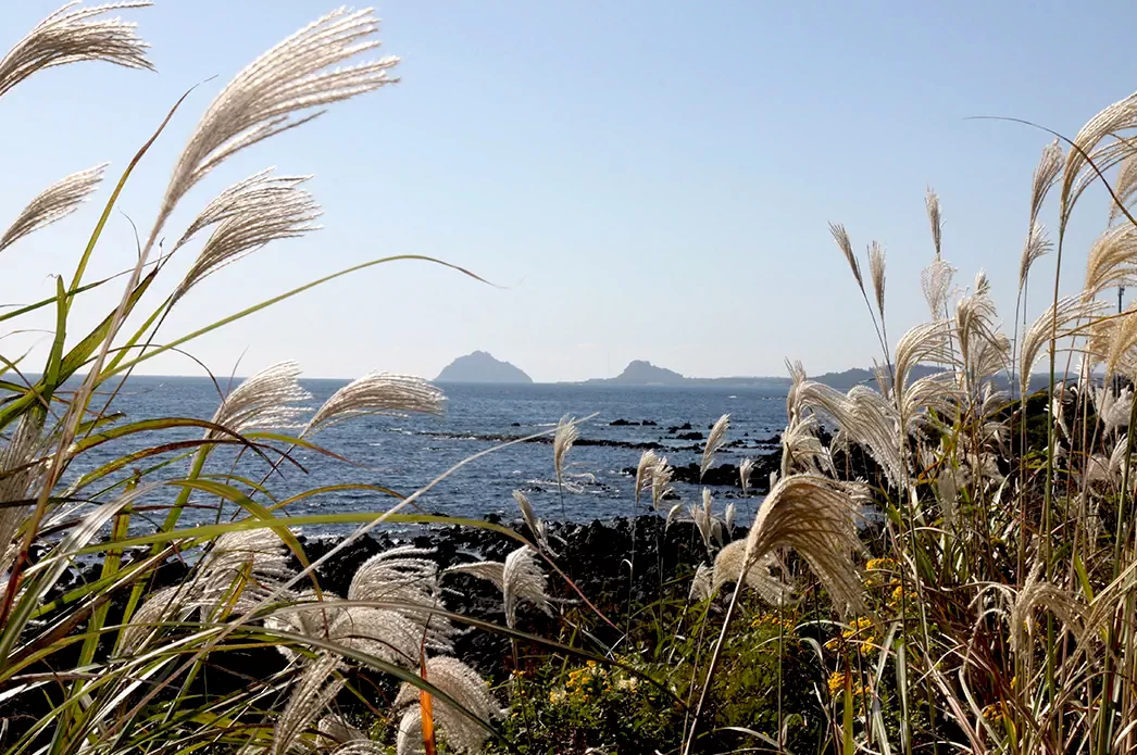 큰엉 산책로에서 바라본 해안 절경.