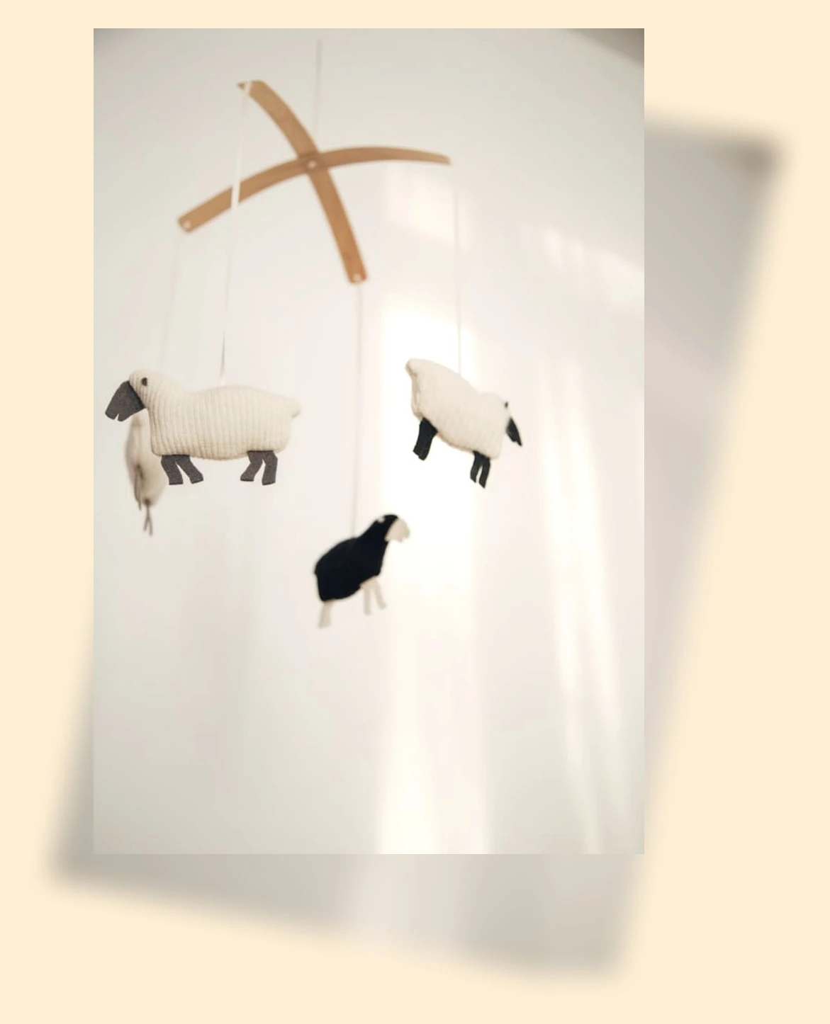 보육교사 자격증 취득_3_subsection