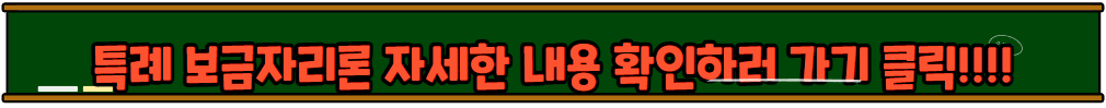 디딤돌 보금자리론 버팀목 등 정부지원 제도 소개