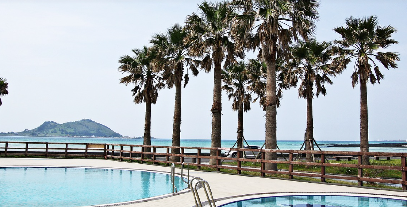 제주 호텔 수영장 사진