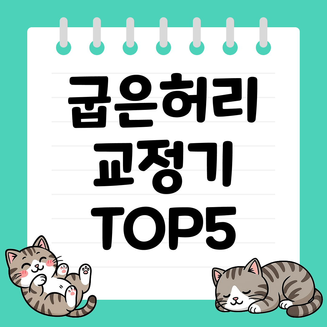 바른 자세 습관을 만들어주는 굽은허리 교정기 추천 TOP5