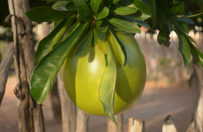 시 흥부부부상 내용과 관련된 이미지