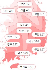 2023 벚꽃 개화시기