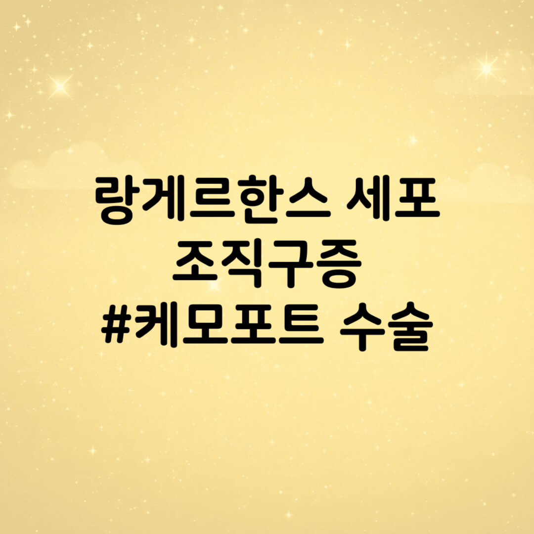 케모포트 수술 썸네일