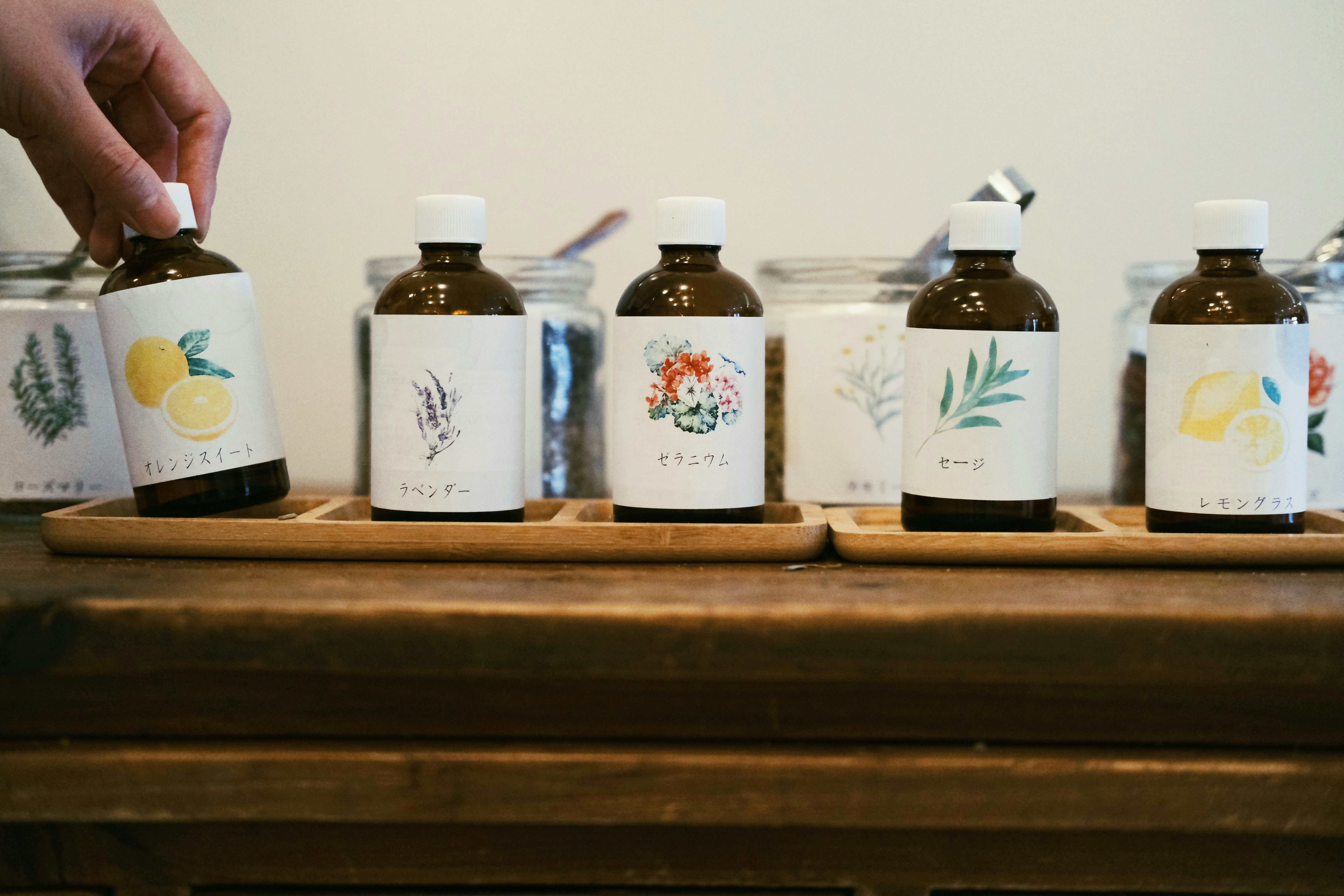 세이지 오일과 향신료의 차이 관련 이미지