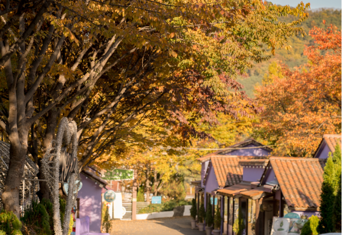 가을빛 가득한 청도 프로방스 마을, 사진 맛집으로 떠나는 감성 여행