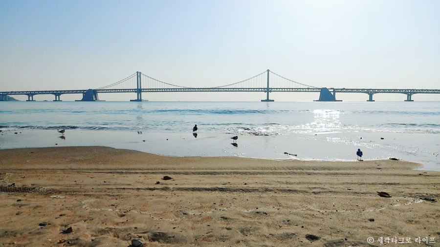 광안리해수욕장