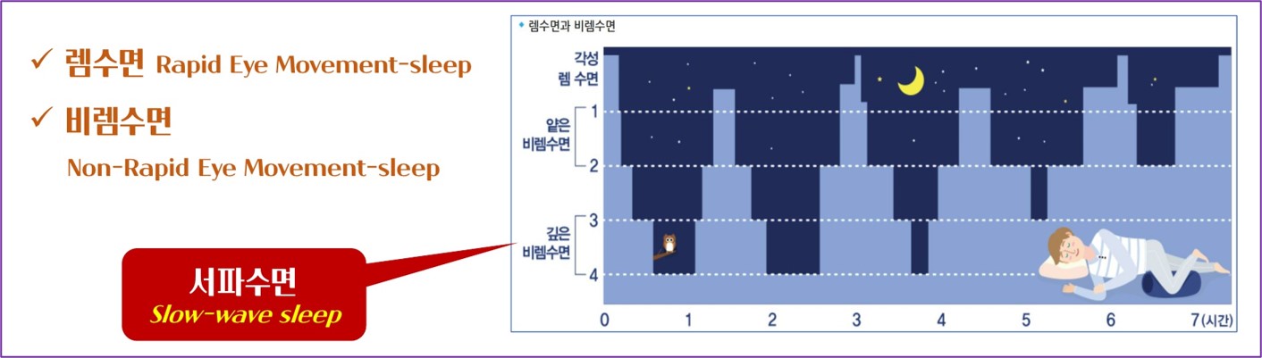 잠 수면