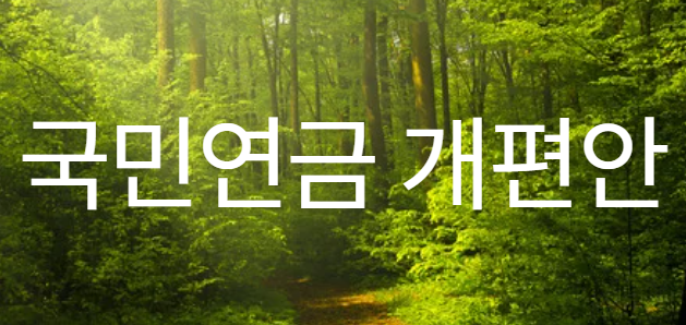 국민연금 개편안