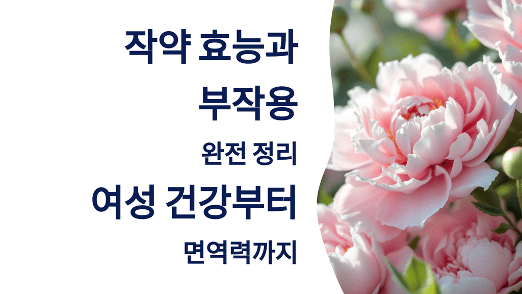 작약 효능과 부작용 완전 정리: 여성 건강부터 면역력까지