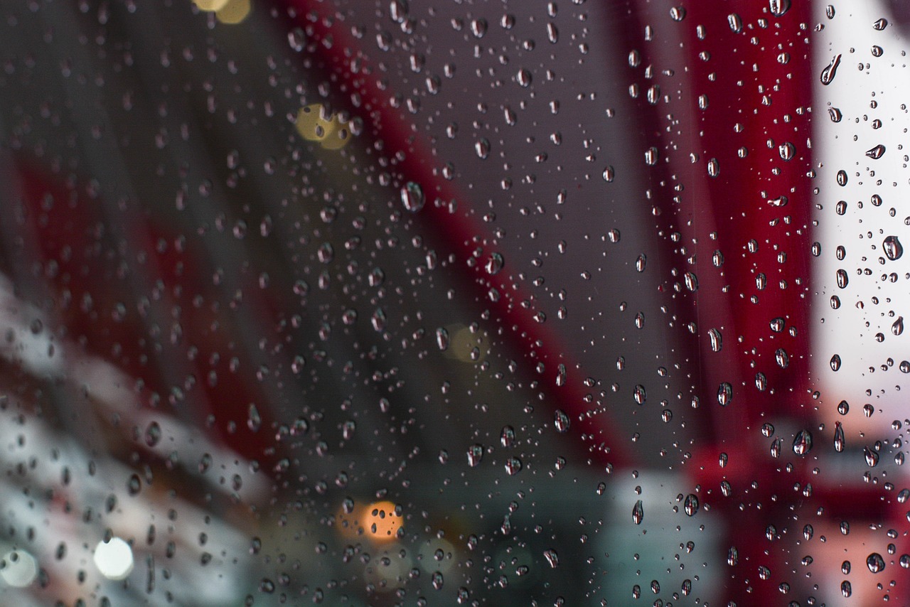 비 오는 날, 차 안에서 바라본 창밖 풍경