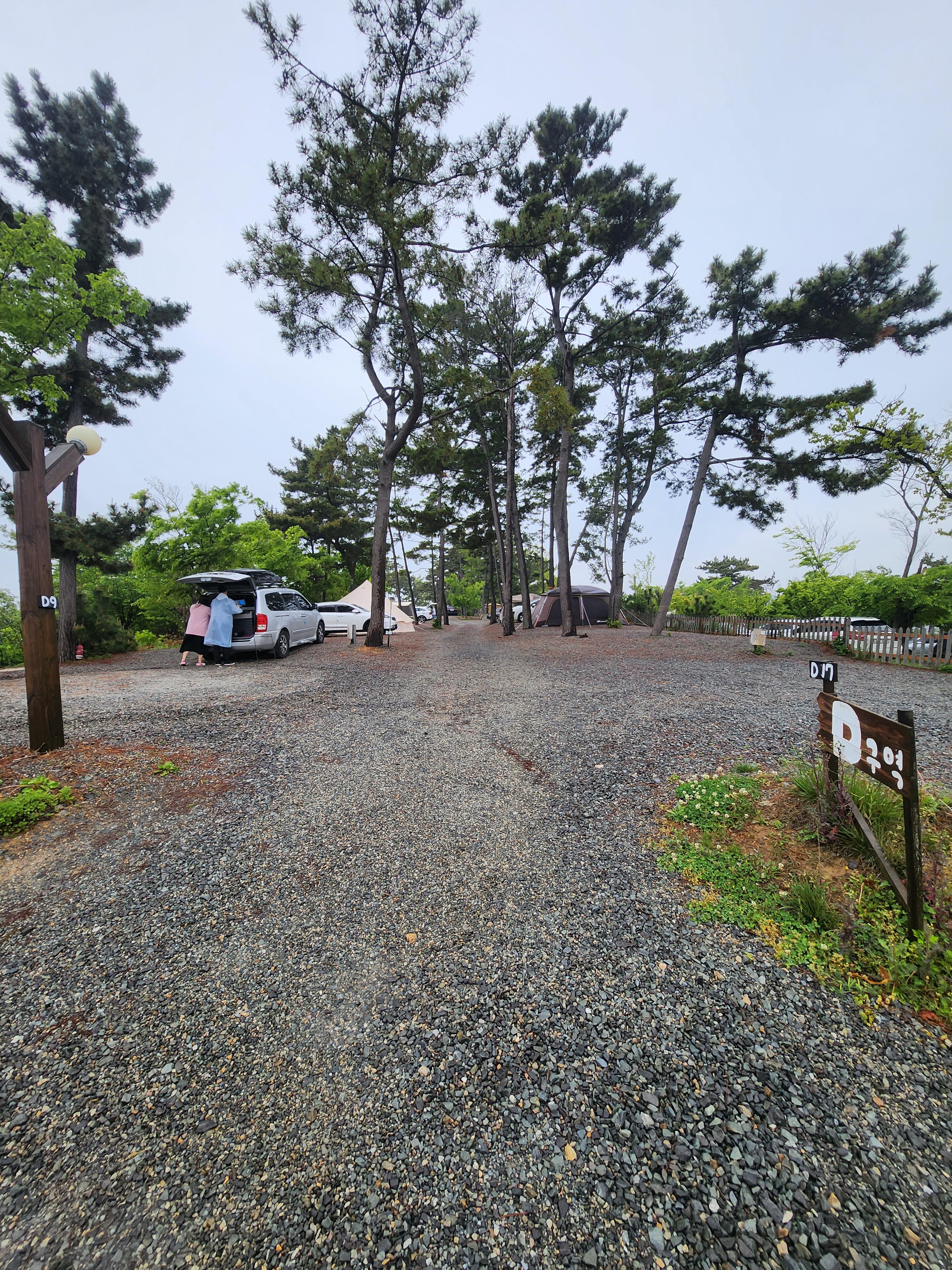 태안별빛캠핑장 d구역