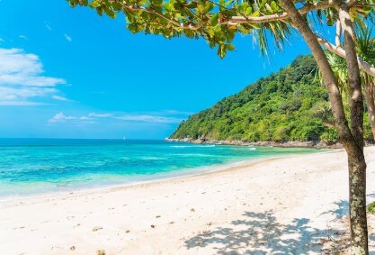 필리핀-보홀-3박-4일-가볼-만한-곳-추천-코스-1