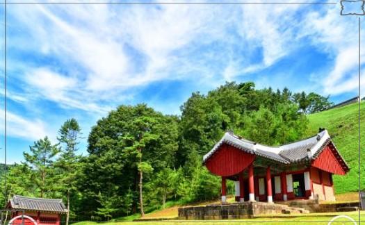 영화 '왕과 사는 남자' 촬영지 영월 여행: 청령포에서 장릉까지 핵심 코스