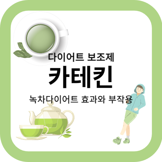카테킨이란? 녹차다이어트의 효과와 부작용