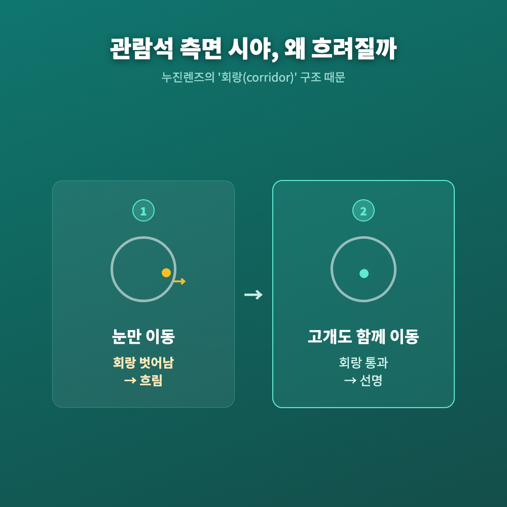 스포츠 관람석에서 몸은 정면을 향한 채 눈만 옆으로 돌리는 모습을 표현한 그래픽, 누진다초점 렌즈의 측면 시야 흐림을 나타낸 이미지