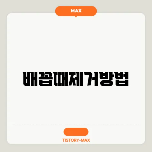 배꼽때제거방법