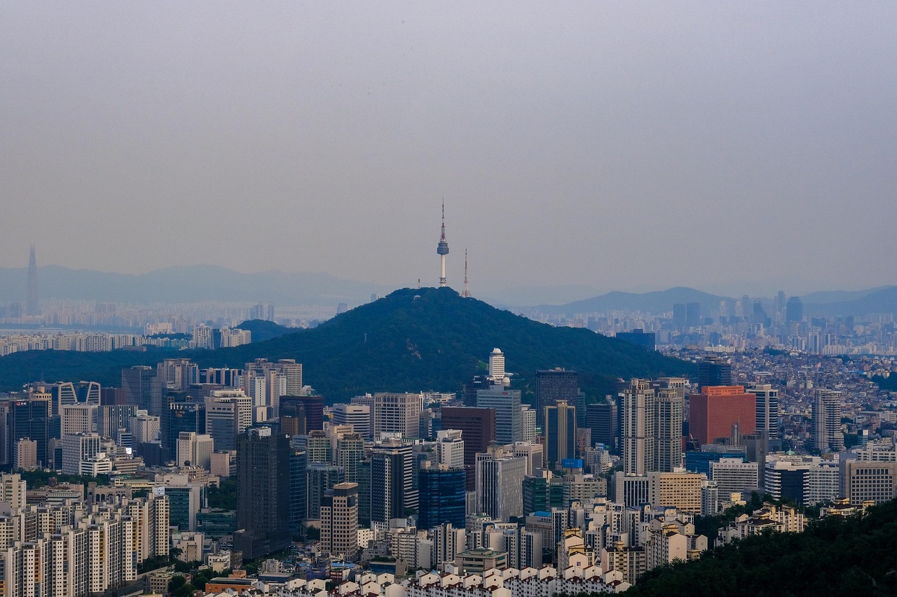 남산 사진