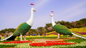 태안튤립박람회