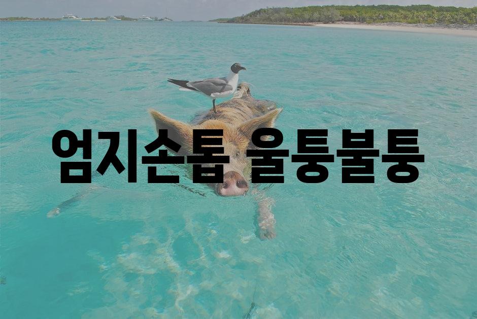 샘플 (1)