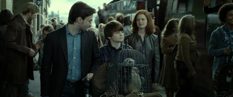 해리포터와 죽음의 성물 2편