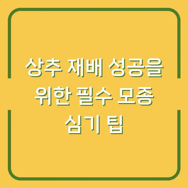상추 재배 성공을 위한 필수 모종 심기 팁