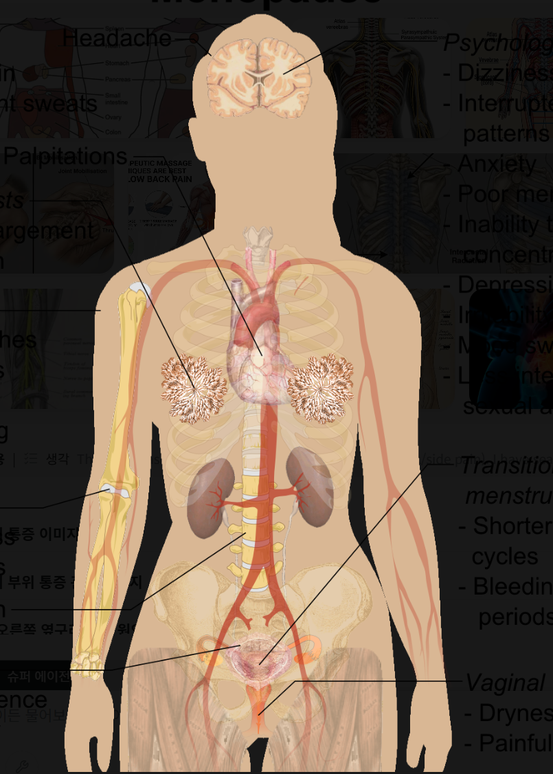 왼쪽 오른쪽 옆구리 통증 원인 5가지와 찌릿한 증상별 대처법 총정리