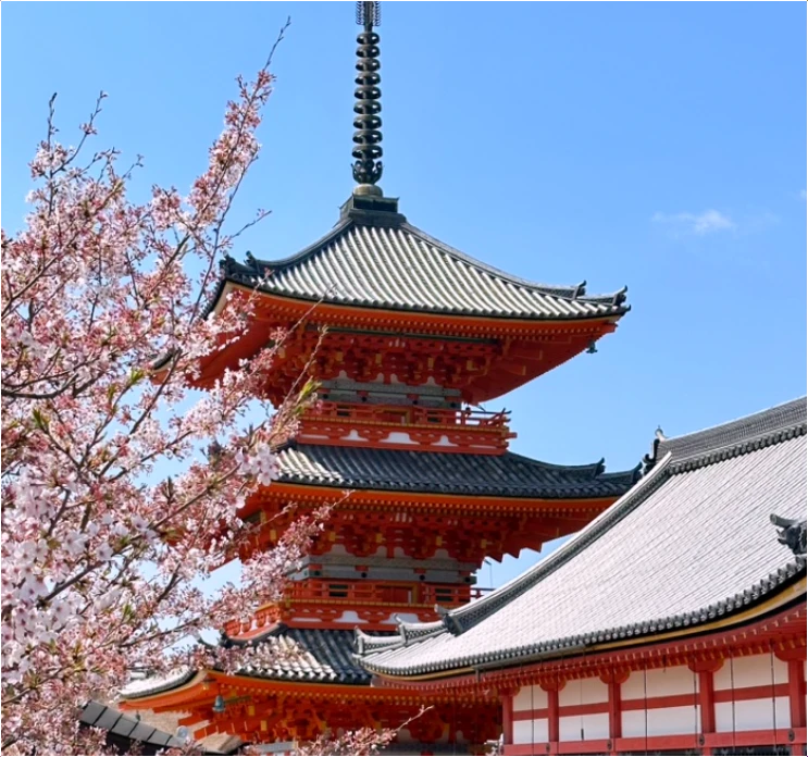 오사카-벚꽃-개화시기