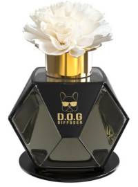 도그독 차량용 디퓨저 200ml, 넘버5, 1개