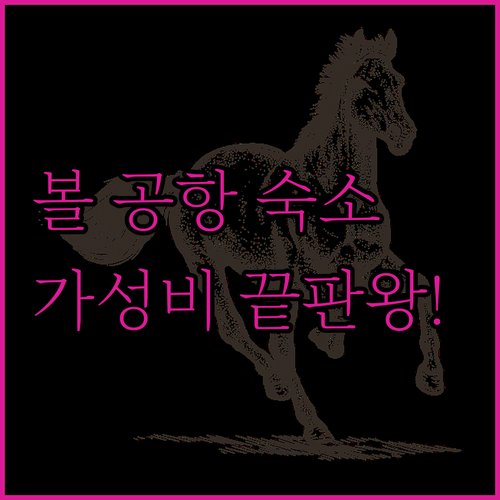브라치 섬 볼 공항 인근 평점 좋은 ..