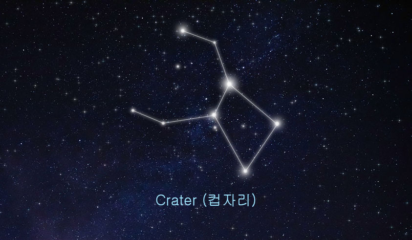 컵자리 관련 이미지