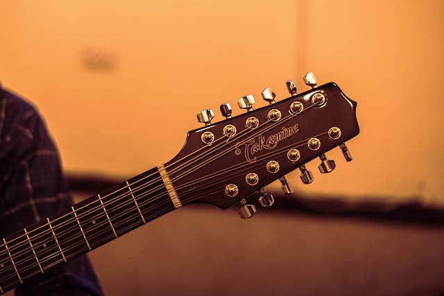 악보 보는법 배우기